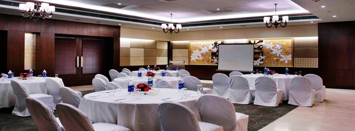 300/Goldfinch Hotel - Faridabad 06.jpg